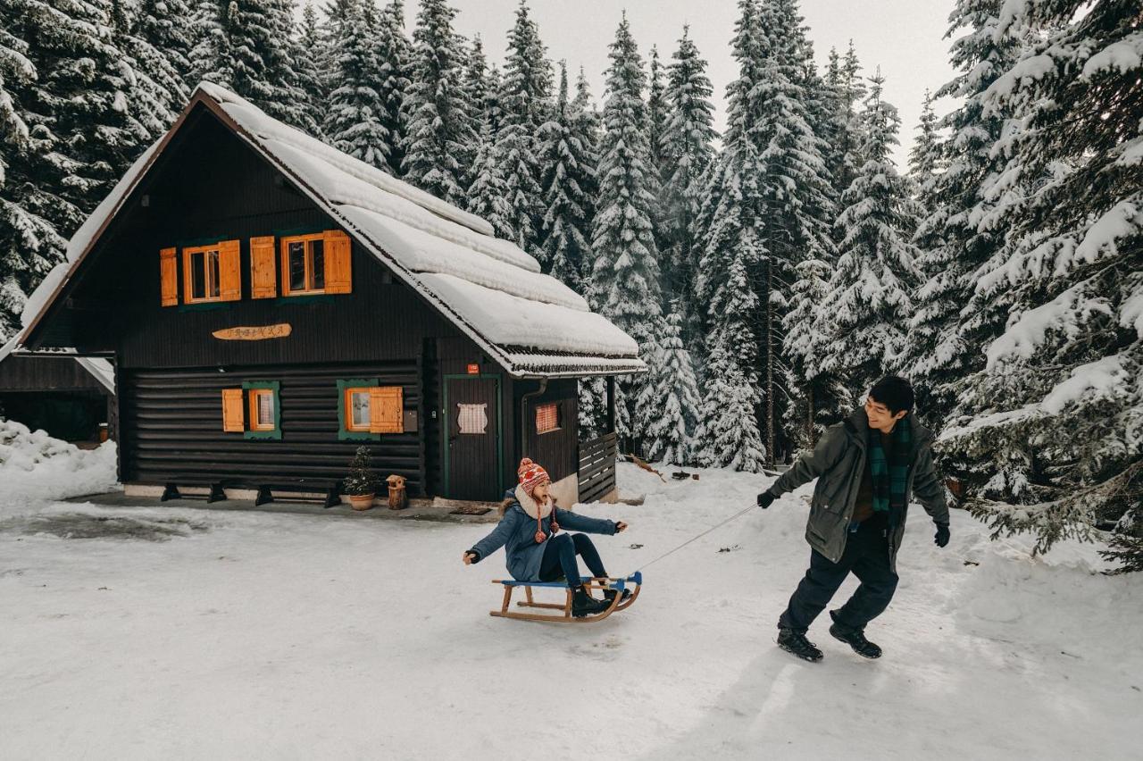 Chalet Trzinka - Triglav National Park Goreljek Exterior photo